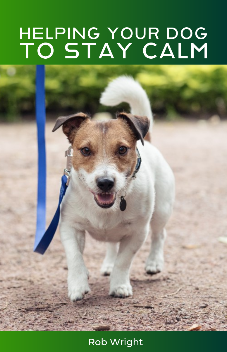 Helping Your Dog To Stay Calm